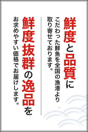 鮮度と品質にこだわった鮮魚を全国の漁港より取り寄せております。鮮度抜群の逸品をお求めやすい価格でお届けします