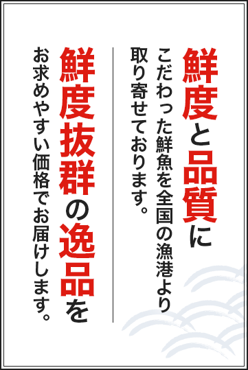 鮮度と品質にこだわった鮮魚を全国の漁港より取り寄せております。鮮度抜群の逸品をお求めやすい価格でお届けします